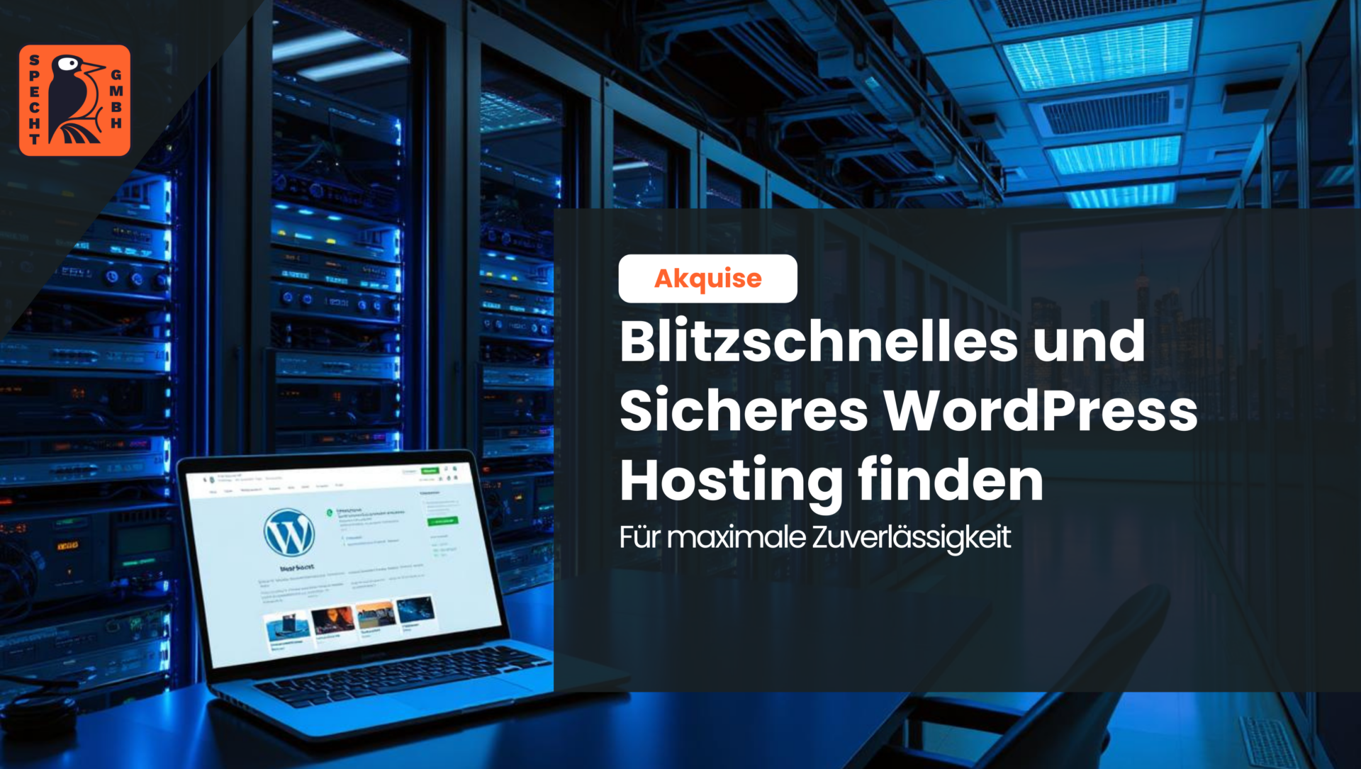 Wordpress Hosting